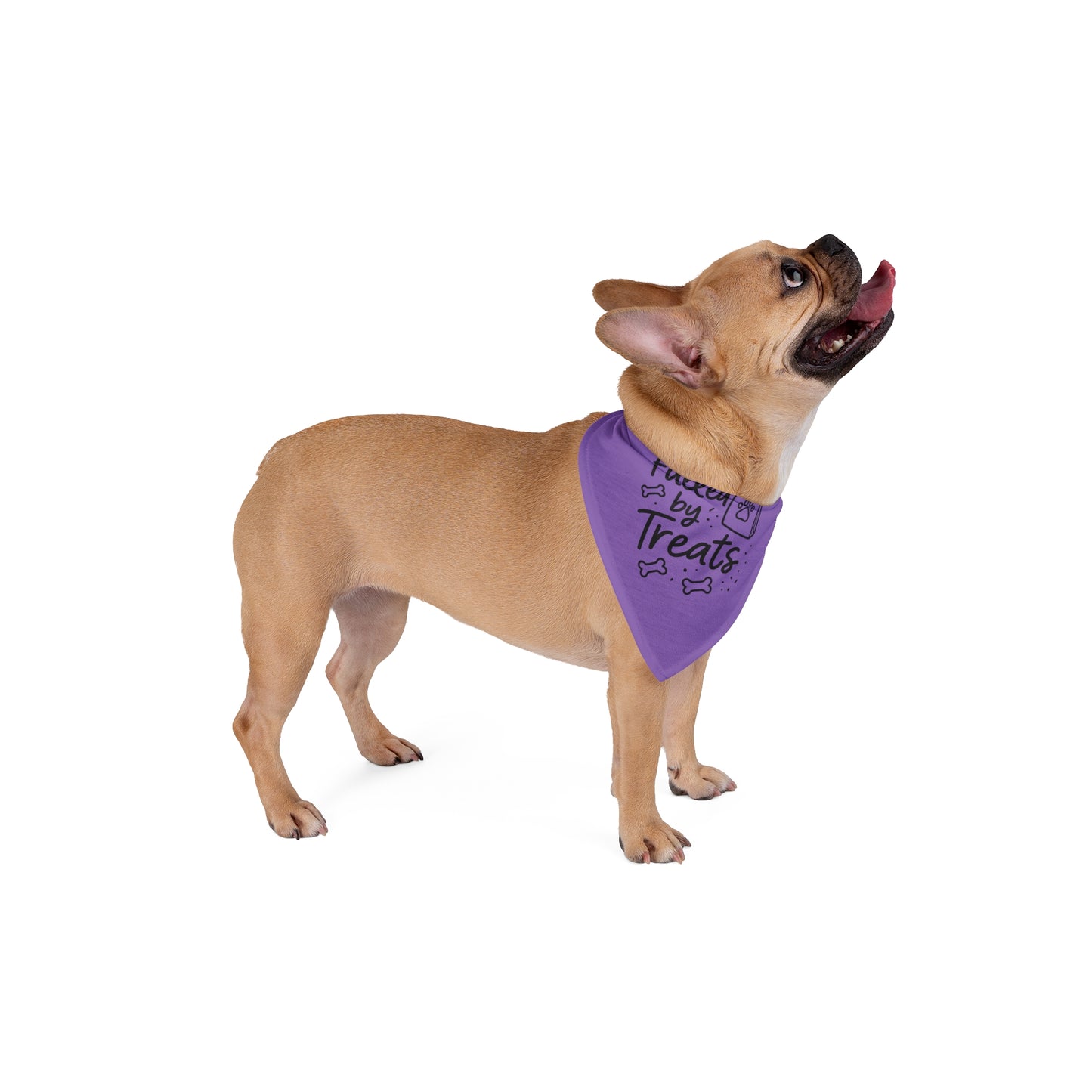 Pet Bandana - Stylish and Functional Accessory for Your Furry Friend
