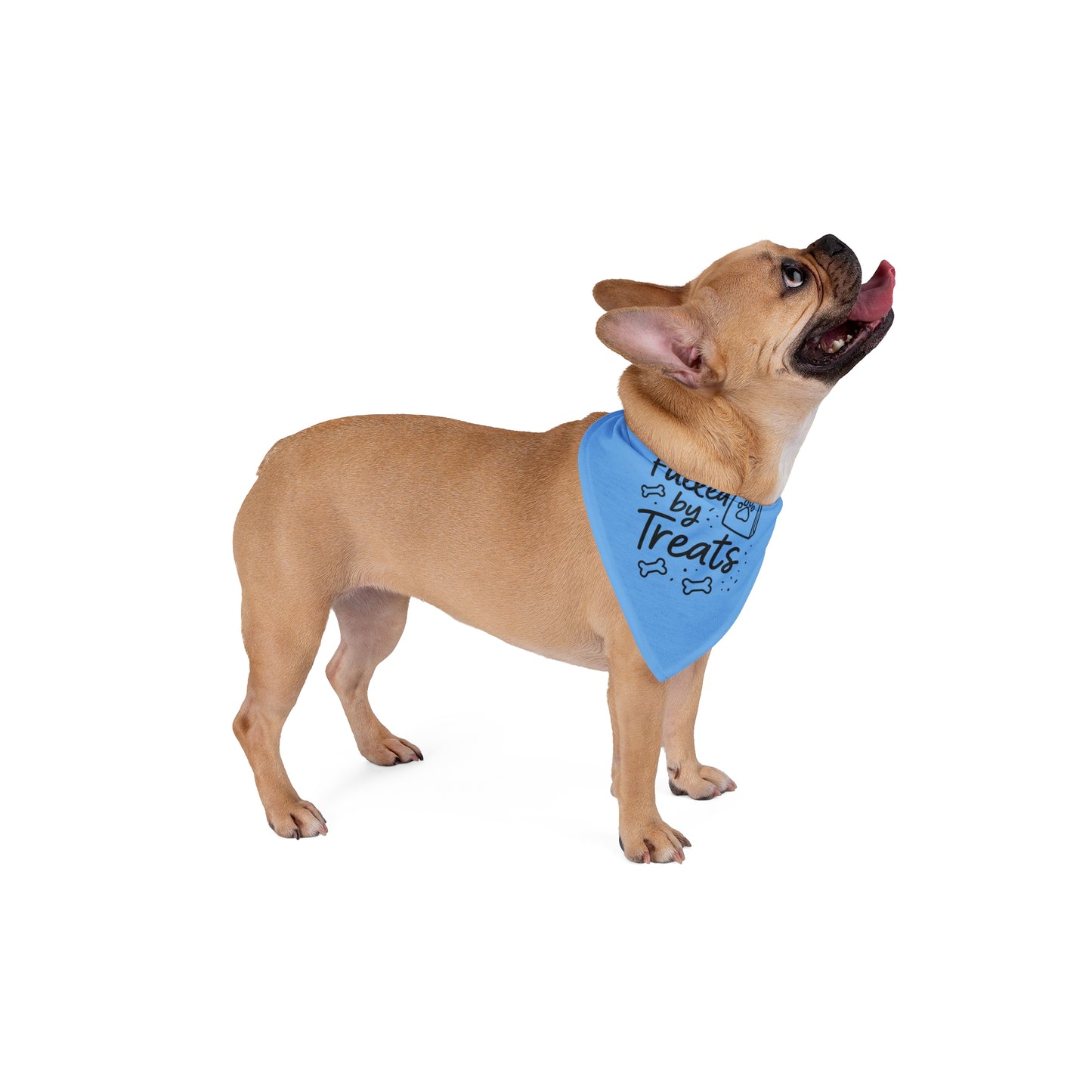 Pet Bandana - Stylish and Functional Accessory for Your Furry Friend